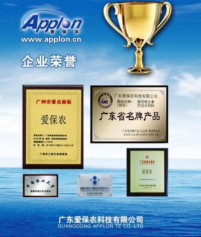 金坦公司荣获“创新持续领先者”荣誉称号